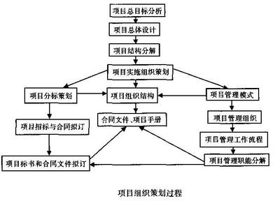 房地产项目组织的策划与实施策略